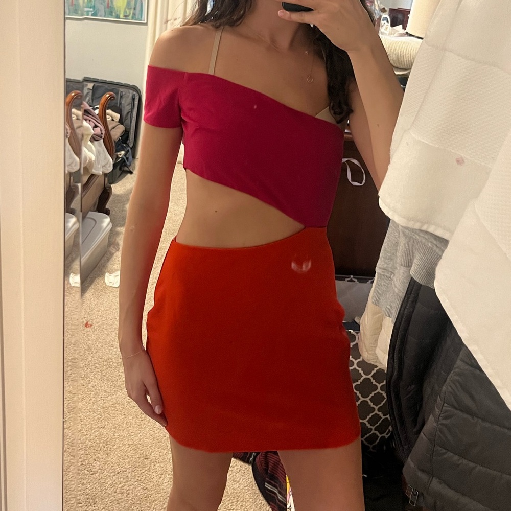 Lovers and friends mini dress
